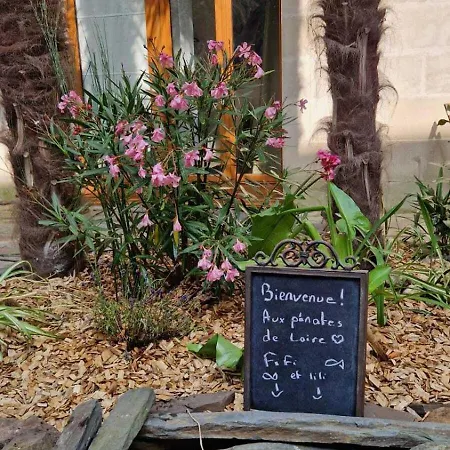 Les Penates De Loire Appartement Ancenis Kamer foto